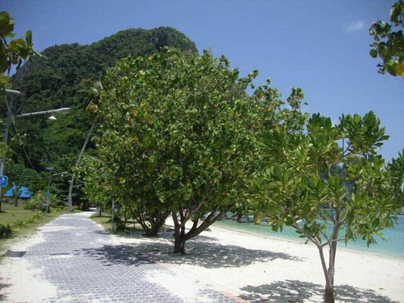 Pp Sand Sea View Resort image