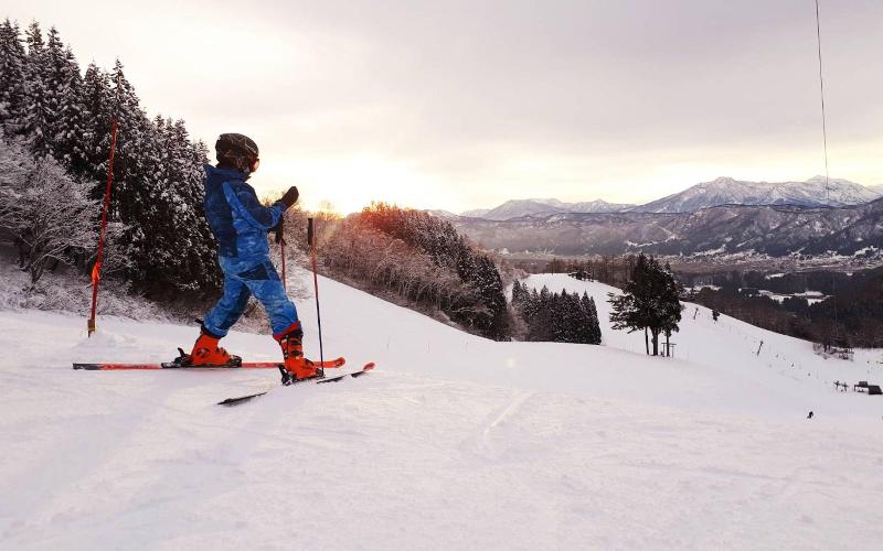 Nozawa View Hotel Shimataya image