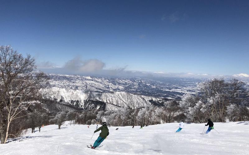 Nozawa View Hotel Shimataya image