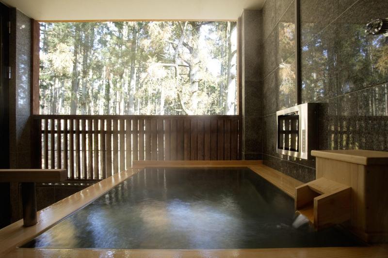 Hakone Suishoen image