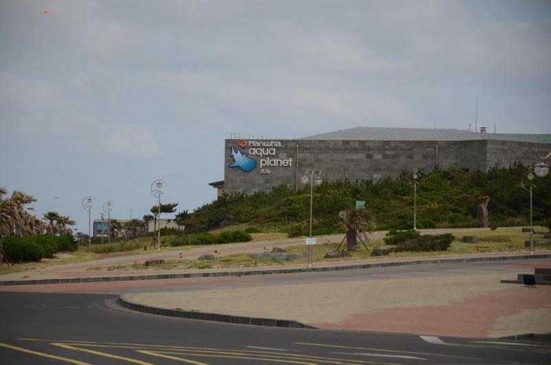 Jeju Stay In Seongsan Hotel image