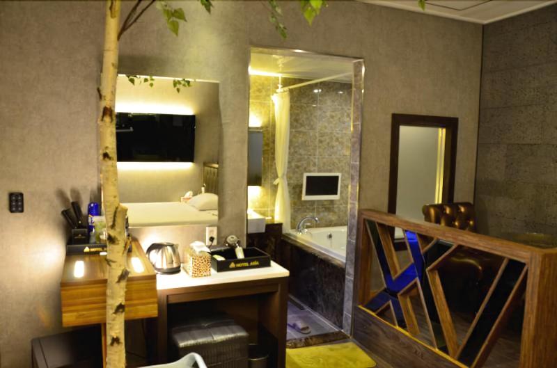 Hotel Asia image