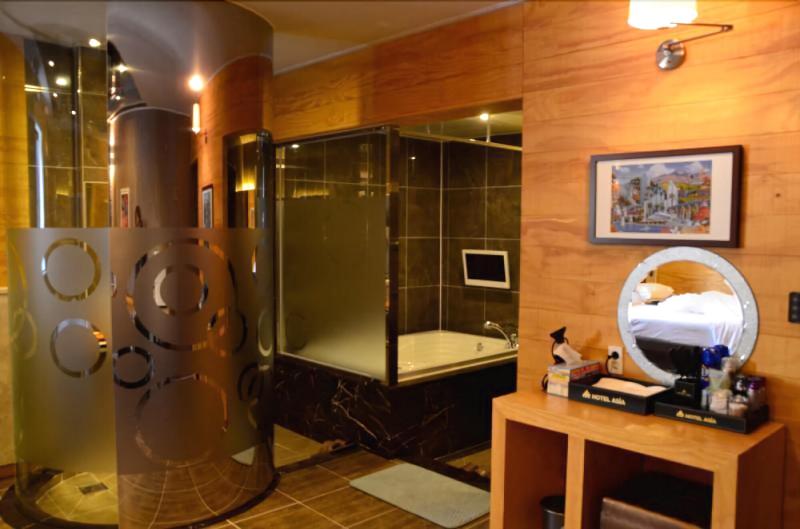 Hotel Asia image