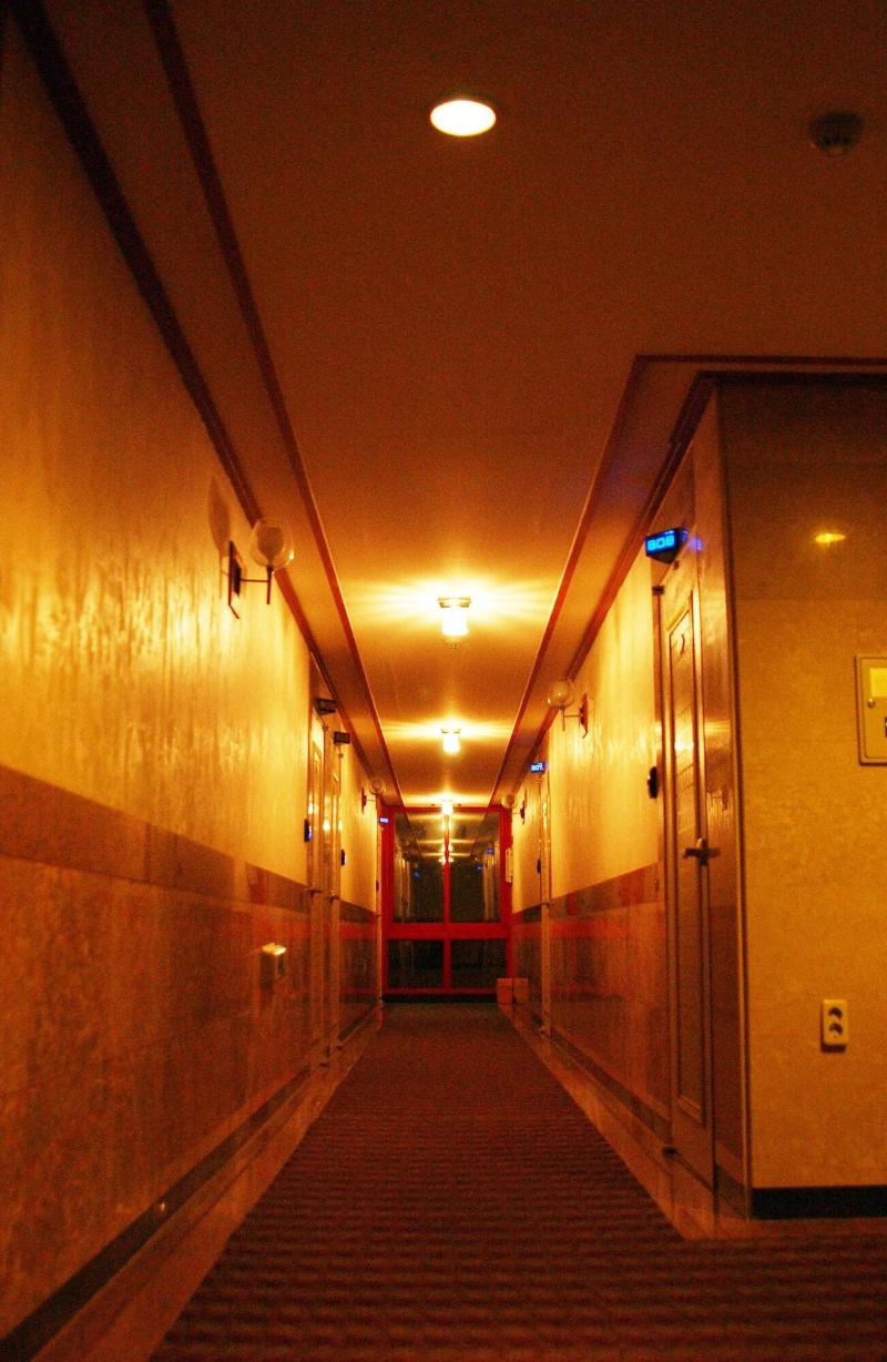 Major Hotel image