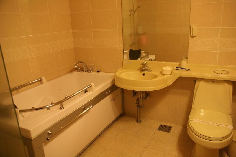 Major Hotel image
