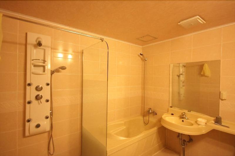 Major Hotel image