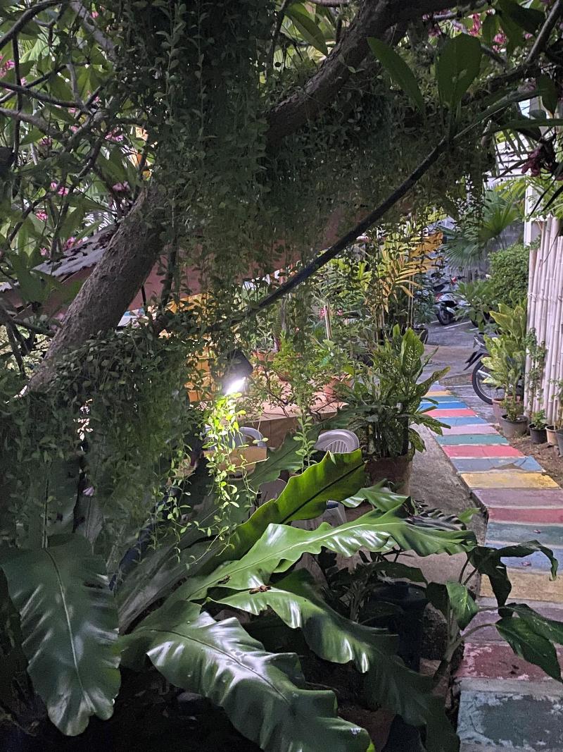 Kata Leaf Resort image