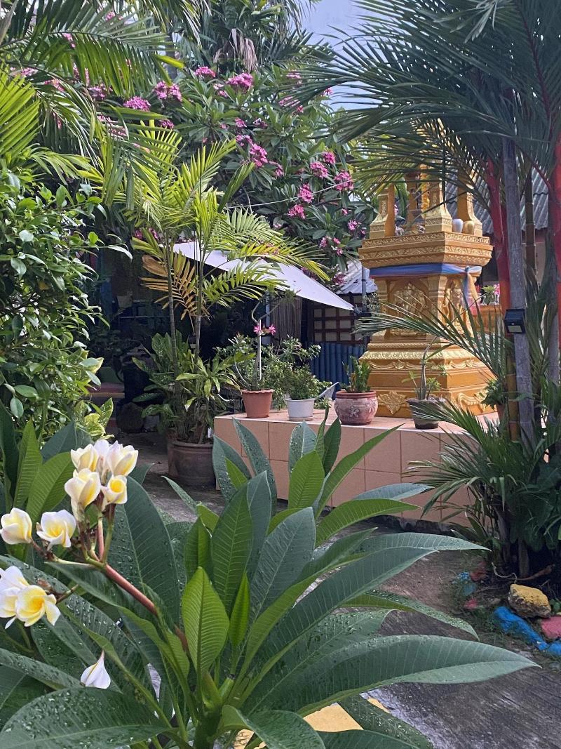 Kata Leaf Resort image