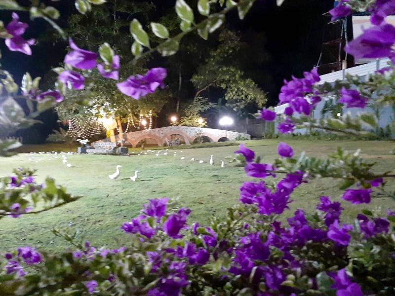 Phuket Nonnita Boutique Resort image