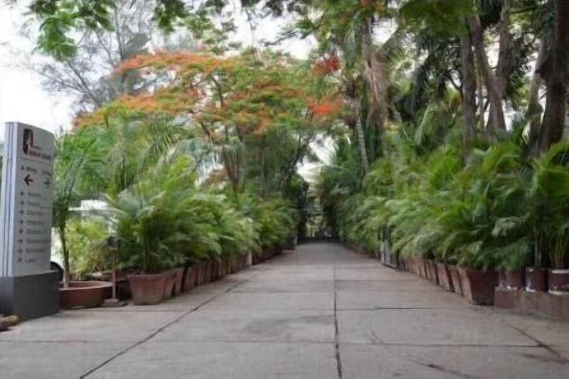 Hotel Kala Sagar image