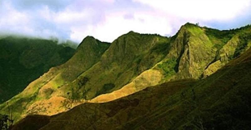 Gokulam Park Munnar image