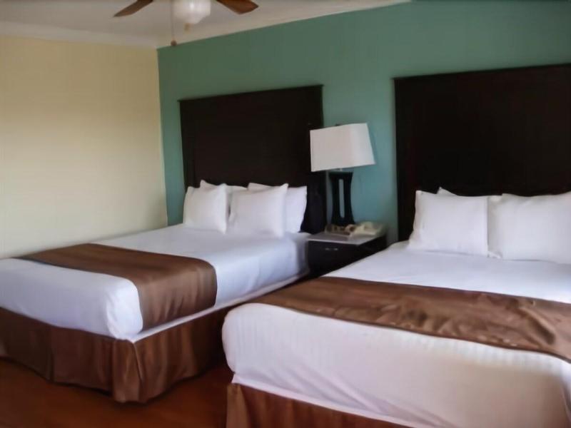 Rockview Inn And Suites image