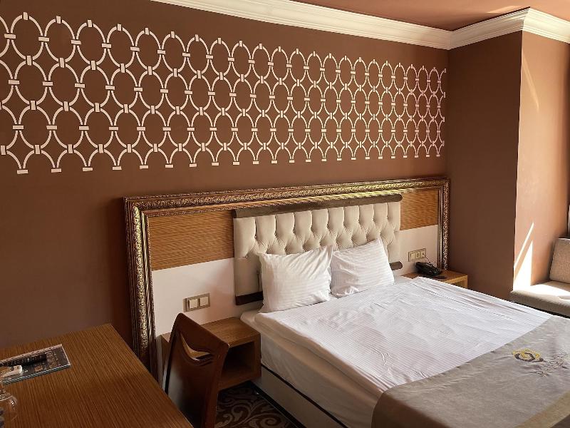 Demosan City Otel image