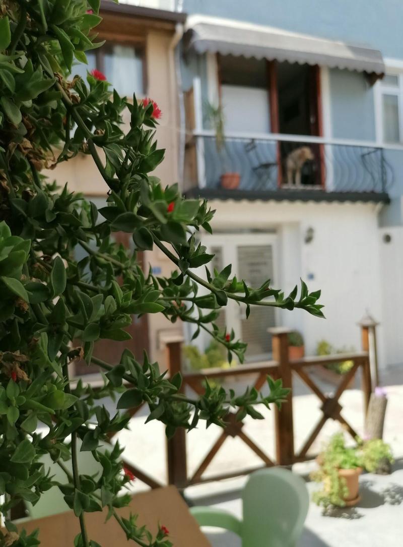 Mudanya Otel image
