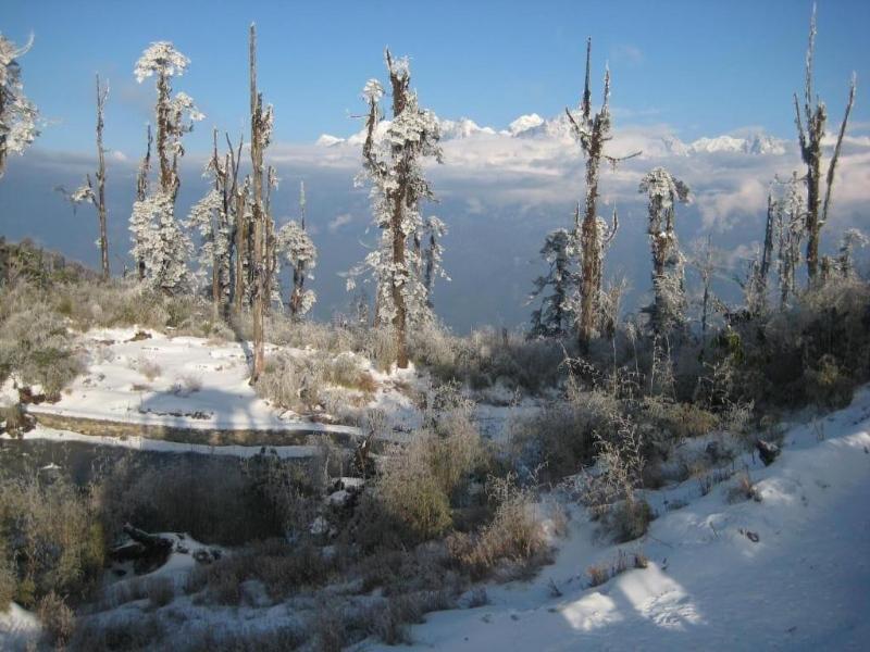 Juniper Residency image