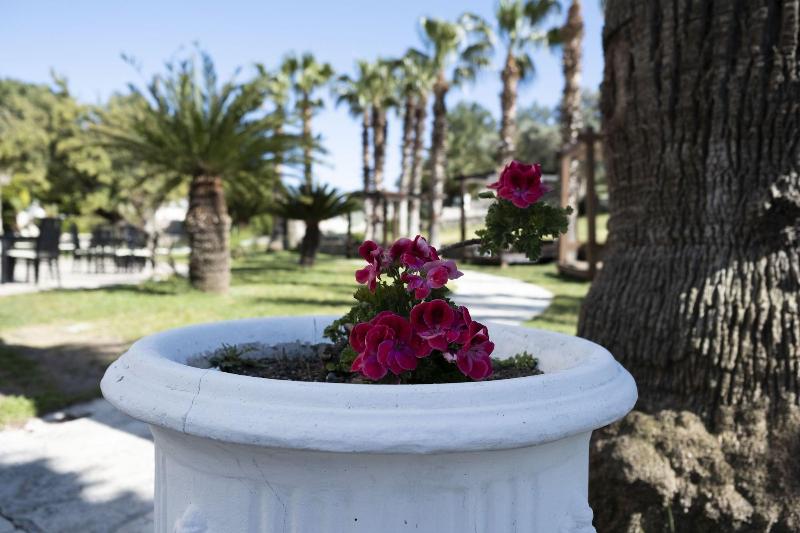 Castle Resort Spa Hotel All Inclusive image