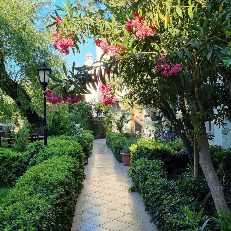 Bella Garden image