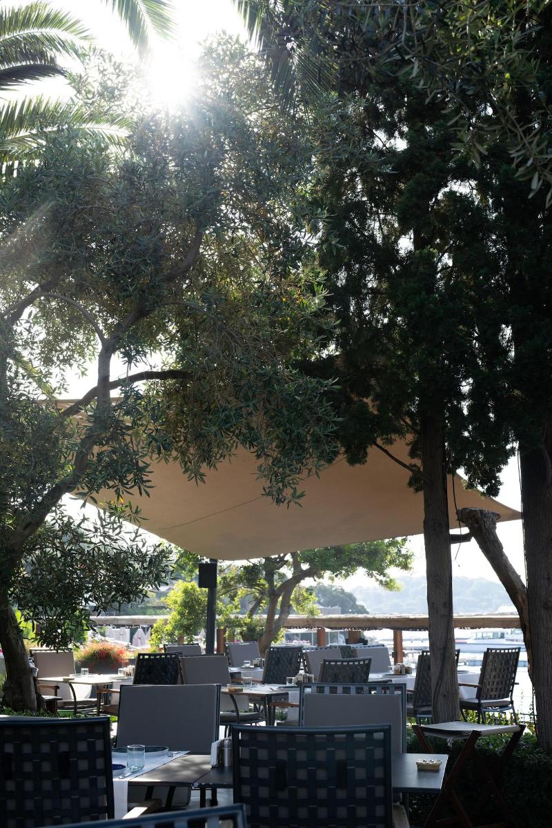 No 81 Hotel image