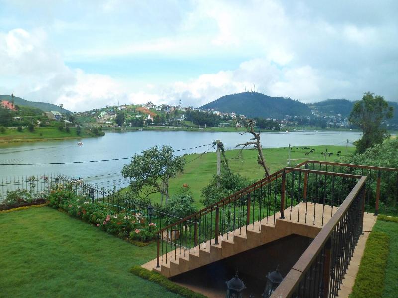 Tea Plant Nuwara Eliya