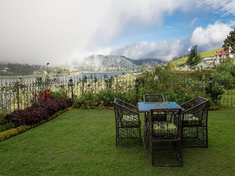 Tea Plant Nuwara Eliya