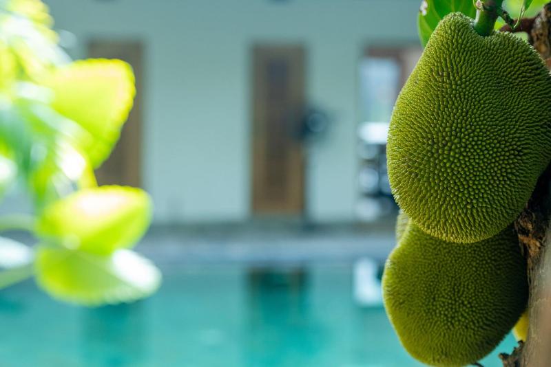 Aryana Hotel image