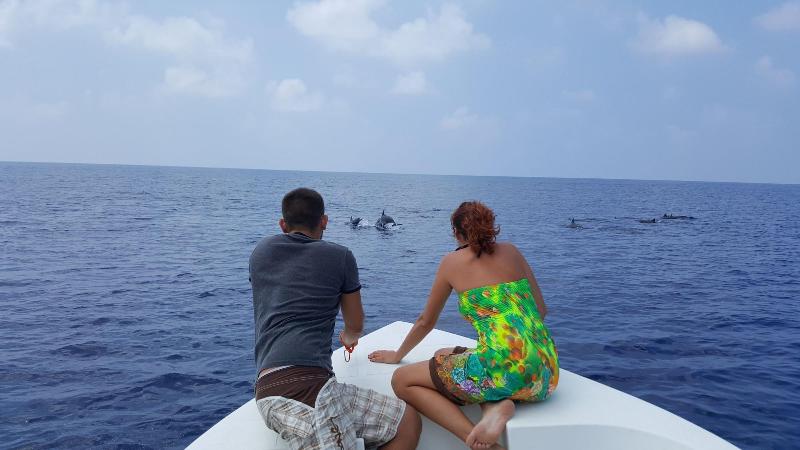 Holiday Haven Ukulhas image