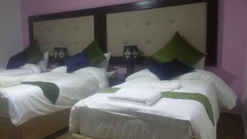 Petra Guests Hotel image