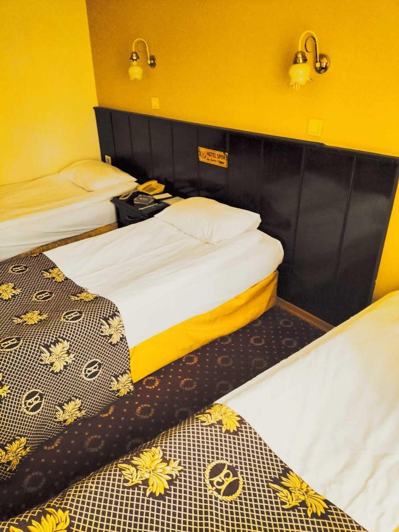 Spor Hotel image