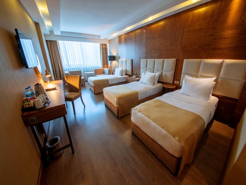 Ramada Plaza by Wyndham Samsun image