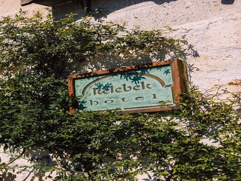 Kelebek Special Cave Hotel image