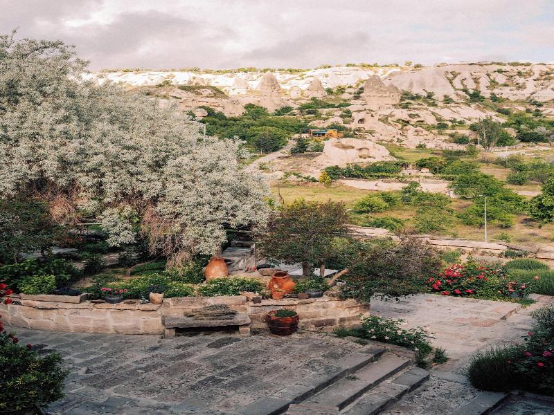 Kelebek Special Cave Hotel image