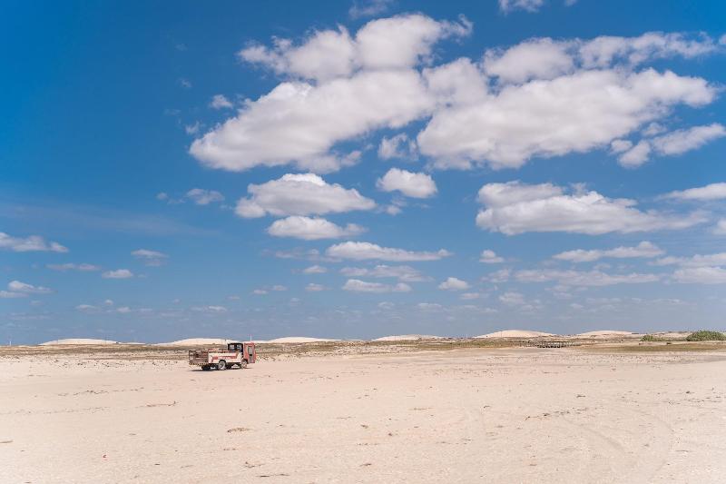 Mansomar image