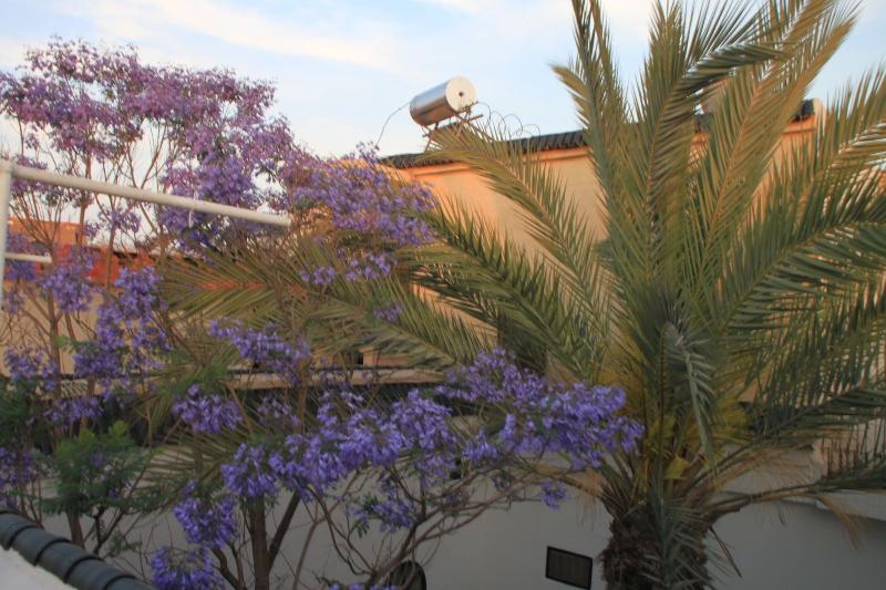 Riad O Ly image