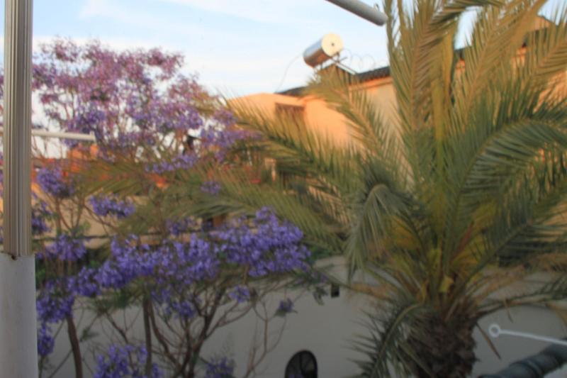 Riad O Ly image