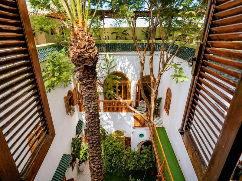Riad O Ly image