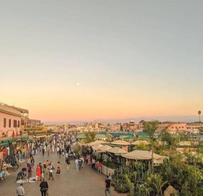 Riad Tchaikana image