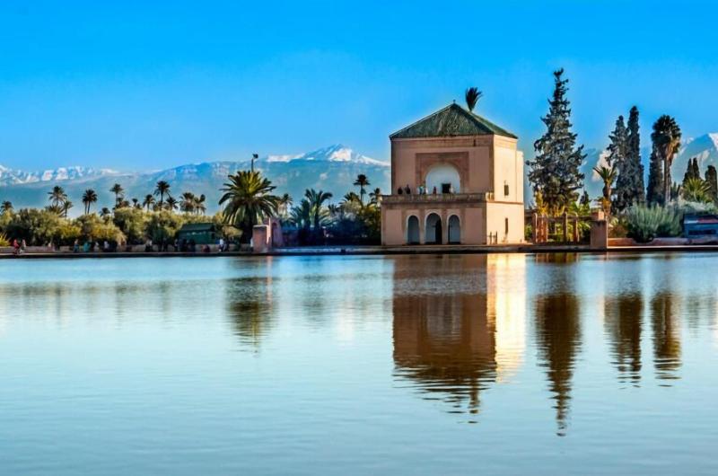 Riad Tchaikana image