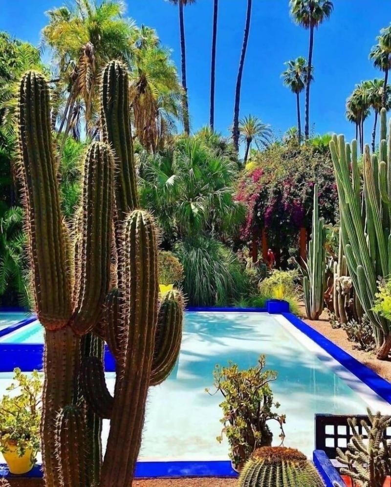 Riad Tchaikana image
