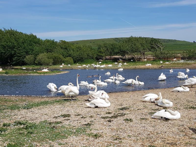 Brunswick Bed Breakfast image