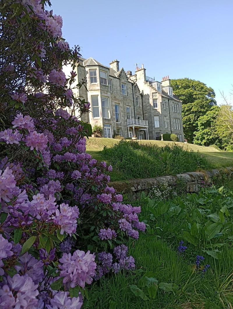 Stravithie Castle image