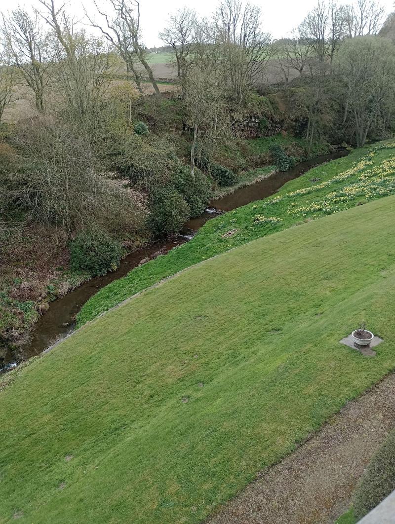 Stravithie Castle image