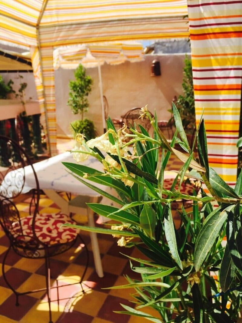 Riad Haylana image