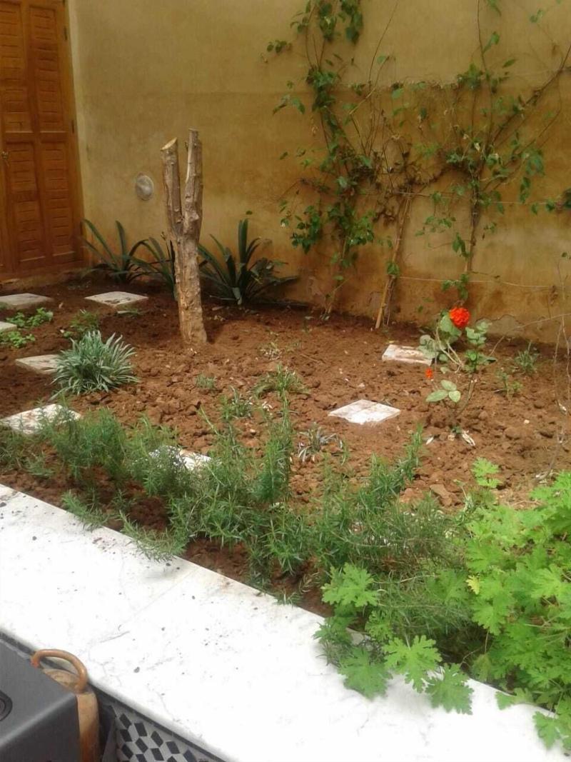 Riad Jasmins Spa