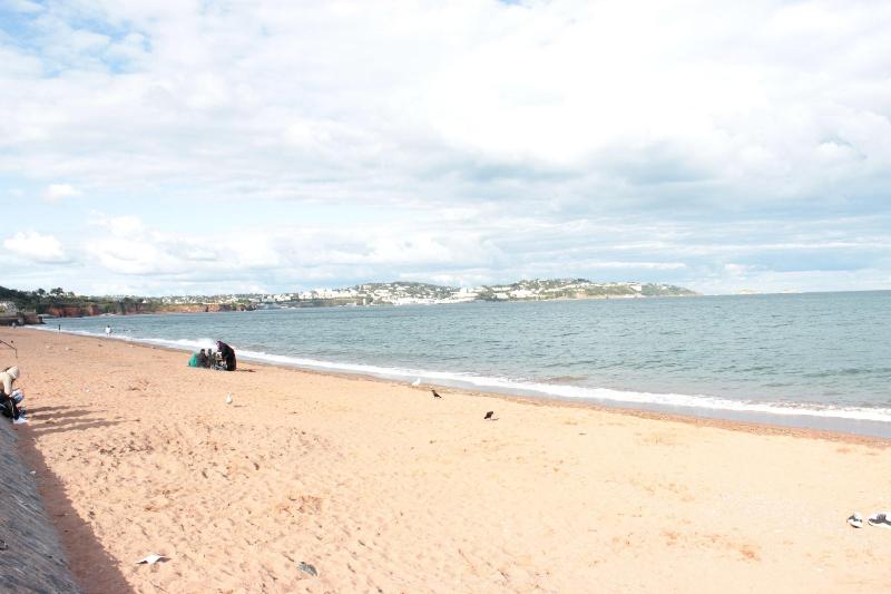 The P M Paignton Residence image