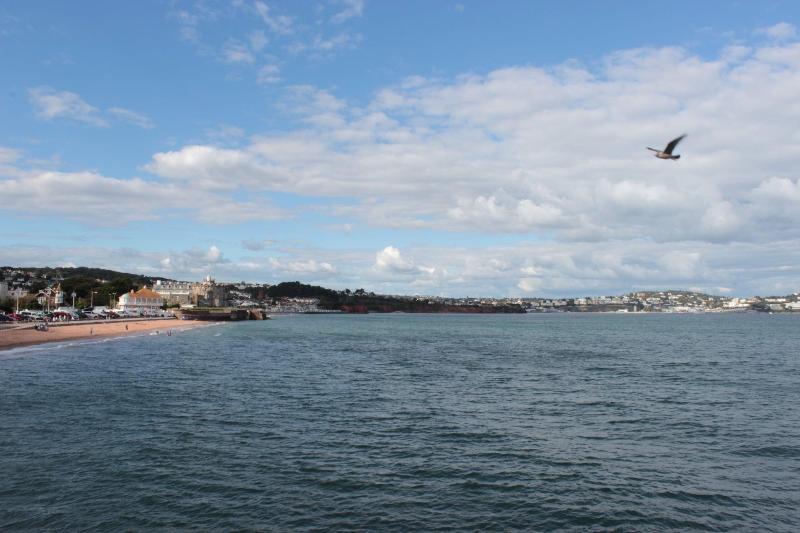 The P M Paignton Residence image