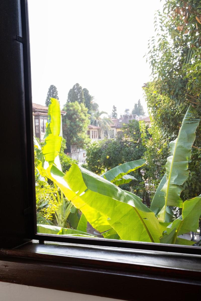 Saye Konak Hotel image
