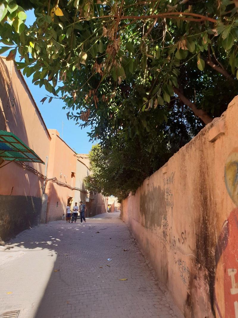 Dar Warda image