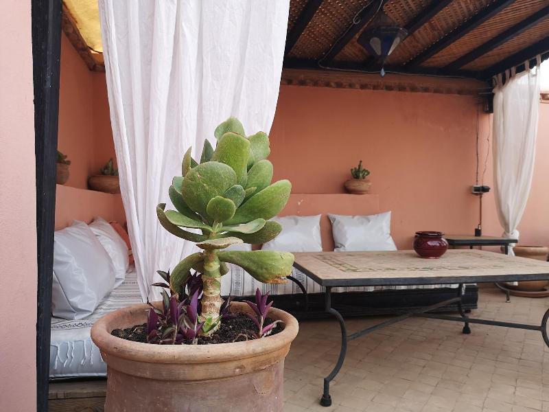 Riad Sin image