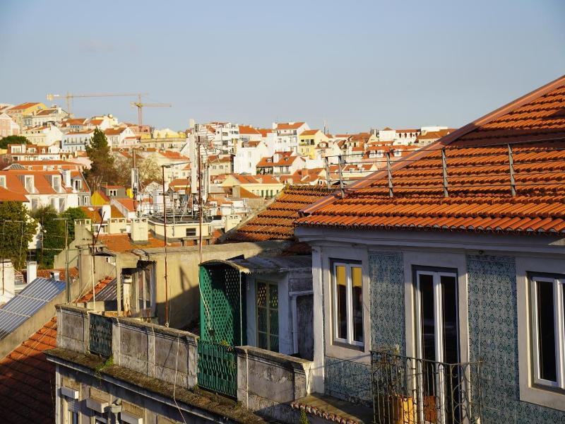 Back To Lisbon Hostel image