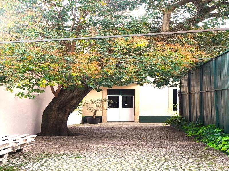 Back To Lisbon Hostel image